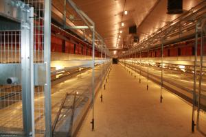 Des bâtiments modernes peuvent accueillir 30 000 poules pour la production d’oeufs à destination de CDPO à Esternay.