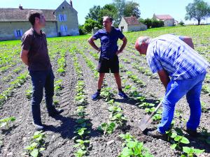 13 agriculteurs de lAllier ont créé un groupe Ecophyto 30 000 pour diminuer la vulnérabilité de leurs fermes face aux aléas climatiques et limiter le recours aux produits phytosanitaires.
